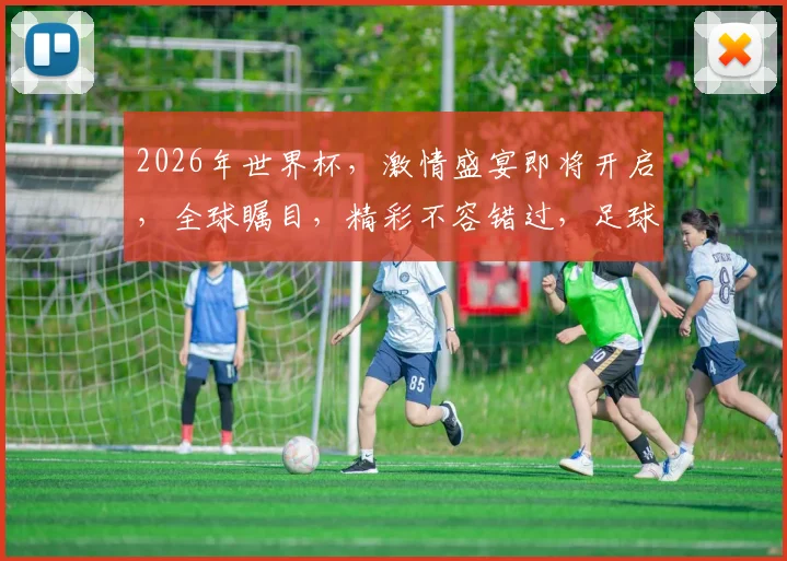 2026年世界杯，激情盛宴即将开启，全球瞩目，精彩不容错过，足球盛宴，等你来战
