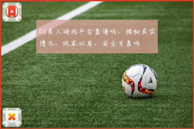 dg真人游戏平台靠谱吗，揭秘真实情况，玩家必看，安全可靠吗