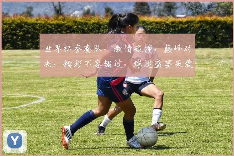 世界杯参赛队，激情碰撞，巅峰对决，精彩不容错过，球迷盛宴来袭
