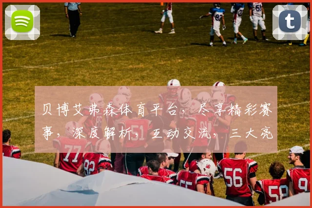 贝博艾弗森体育平台，尽享精彩赛事，深度解析，互动交流，三大亮点，一网打尽